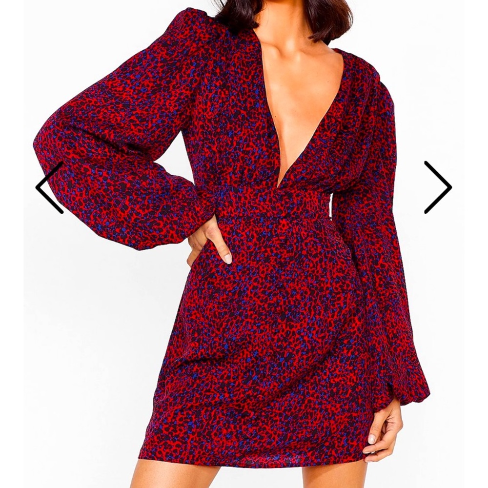 Leopard Mini Dress